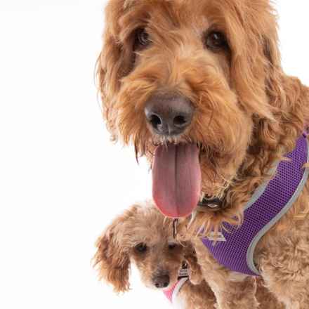 Bella Banana & Leelee