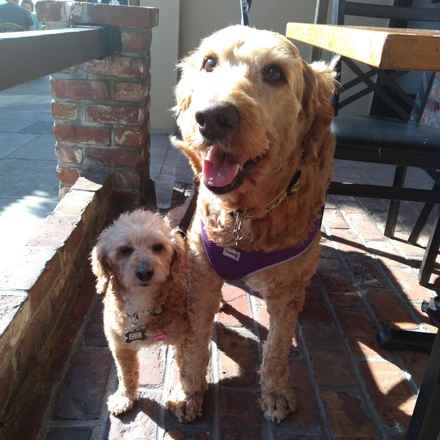 Bella Banana & Leelee