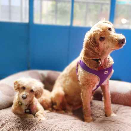 Bella Banana & Leelee