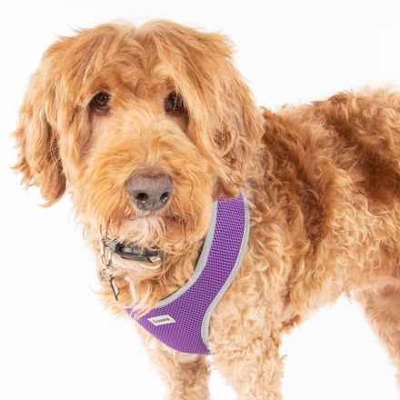 Bella Banana & Leelee