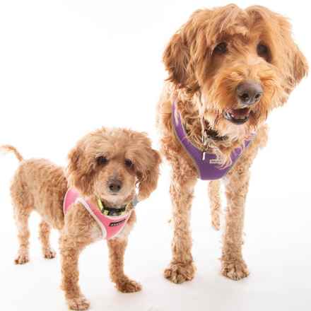 Bella Banana & Leelee