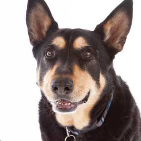 Max