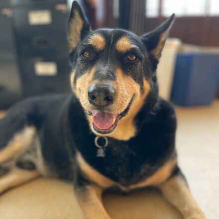 Max