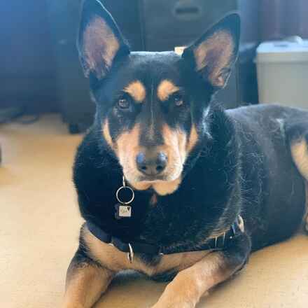 Max
