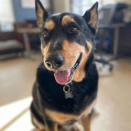 Max