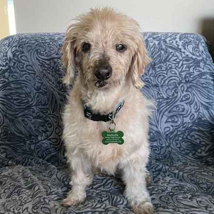 Fergus