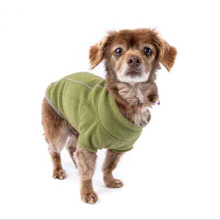 Starfish