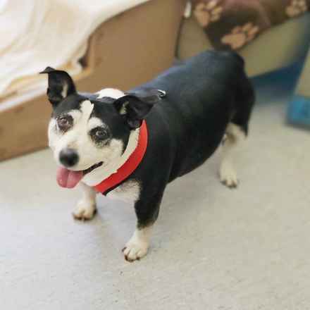 Pancake & Butterscotch