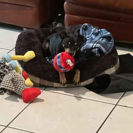Rocky