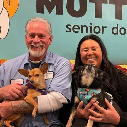 Lovely Rita (Gracie)