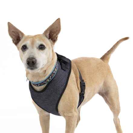 Ziggy Stardust & My Sharona