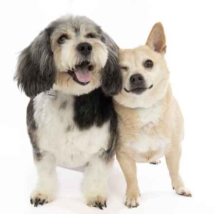 Deep Dish & Jambalaya