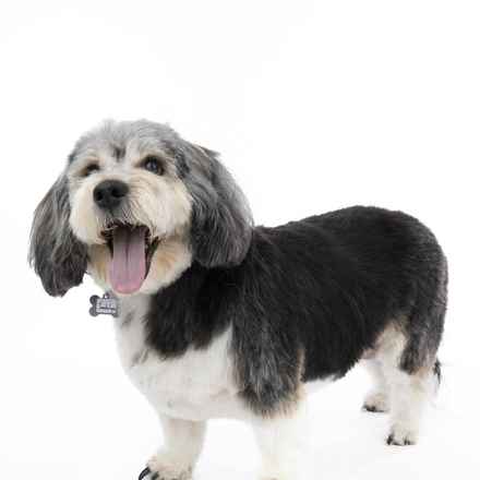 Deep Dish & Jambalaya