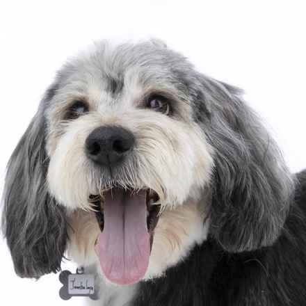 Deep Dish & Jambalaya