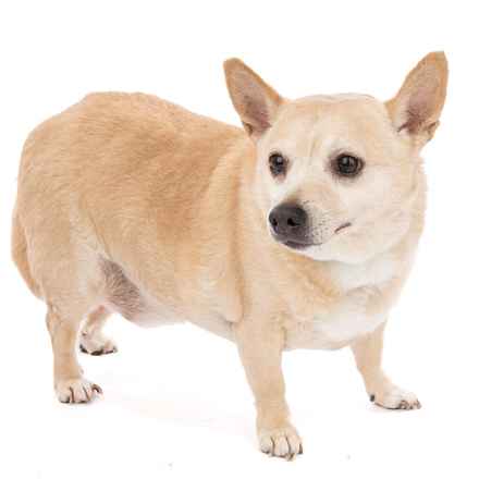 Deep Dish & Jambalaya