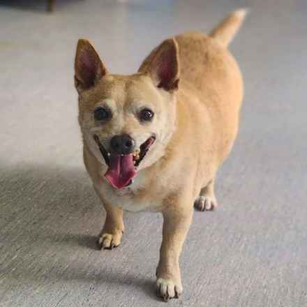 Deep Dish & Jambalaya