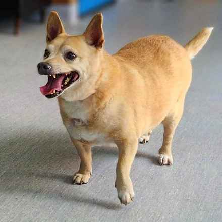 Deep Dish & Jambalaya