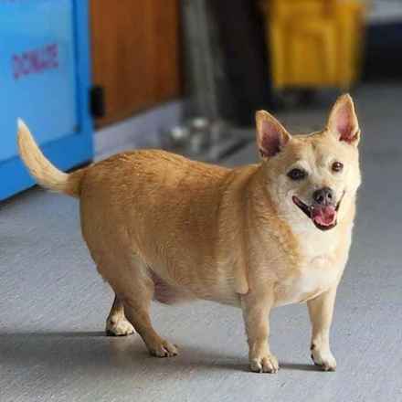 Deep Dish & Jambalaya