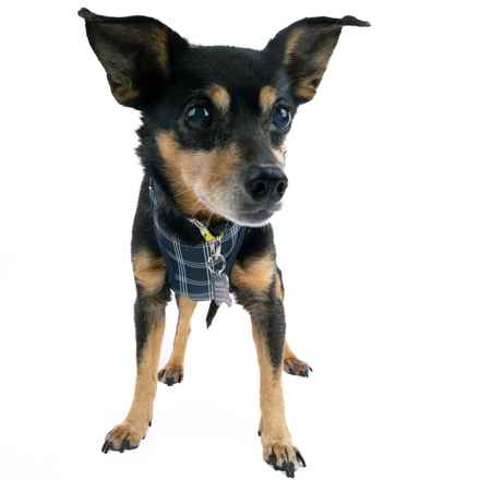 Polly Pocket & Selma Lou