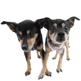 Polly Pocket & Selma Lou