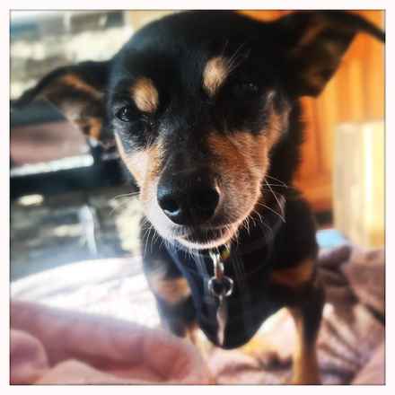 Polly Pocket & Selma Lou