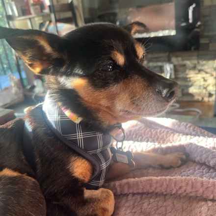 Polly Pocket & Selma Lou