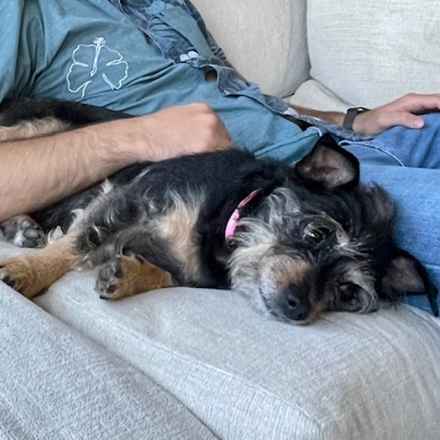 Fruity Pebbles (Tessa)