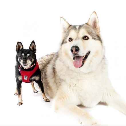 Hootenanny & Stagecoach Mary