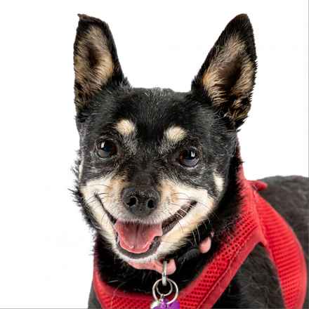 Hootenanny & Stagecoach Mary