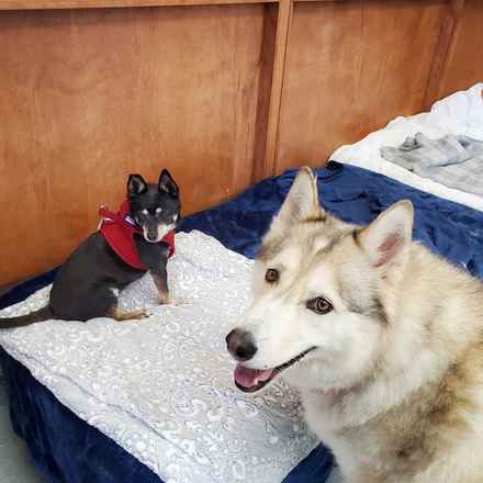 Hootenanny & Stagecoach Mary