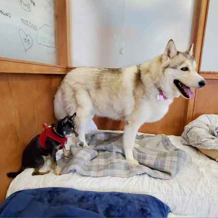 Hootenanny & Stagecoach Mary