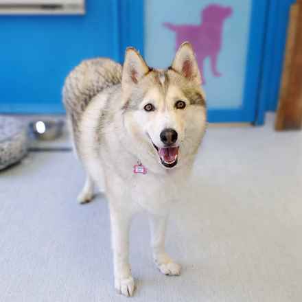 Hootenanny & Stagecoach Mary