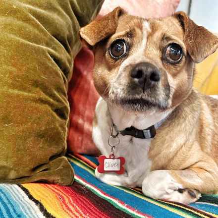 Clive