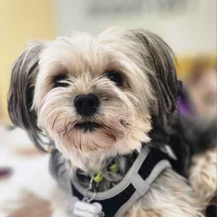 Kerpuffle & Vacation