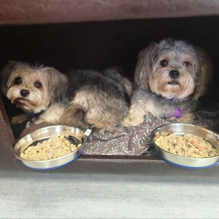 Kerpuffle & Vacation