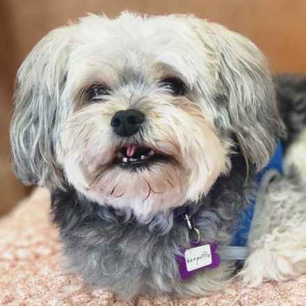 Kerpuffle & Vacation