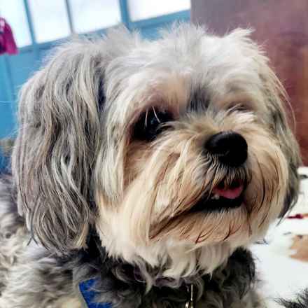 Kerpuffle & Vacation