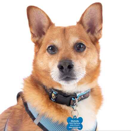 Digby