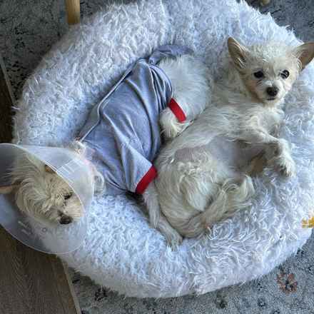 Izzy & Sally O'Malley