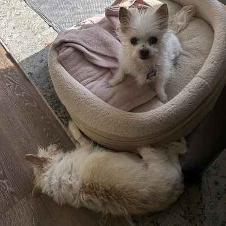 Izzy & Sally O'Malley