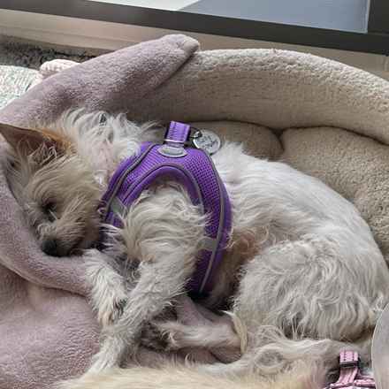 Izzy & Sally O'Malley