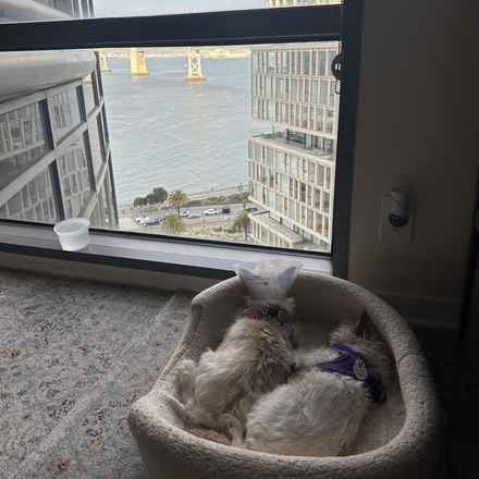 Izzy & Sally O'Malley