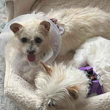 Izzy & Sally O'Malley