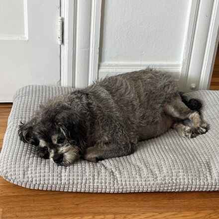 Chunky Monkey