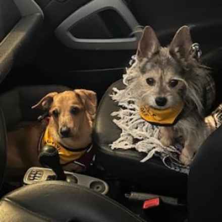 Casserole & Al Dente