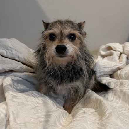 Casserole & Al Dente