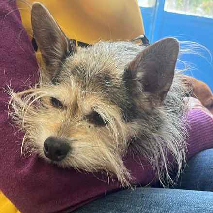 Casserole & Al Dente