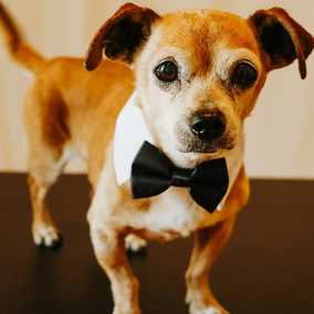 Slim Charles (Slim Shady)