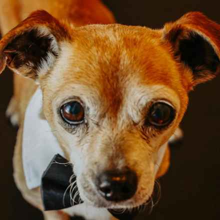 Slim Charles (Slim Shady)