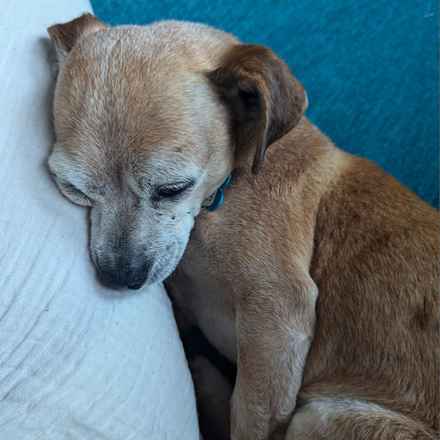 Slim Charles (Slim Shady)